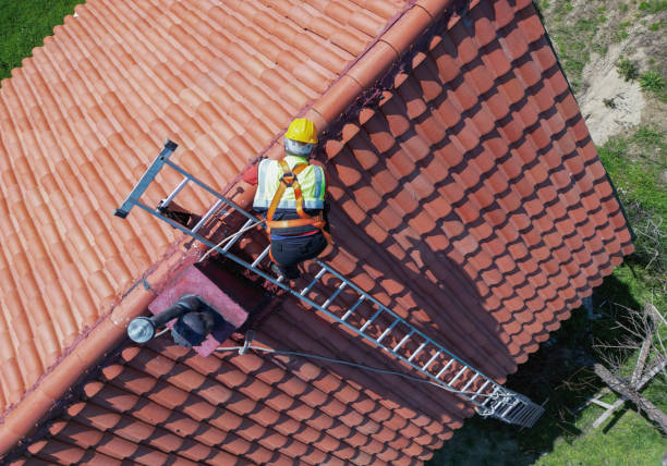 Best Roof Moss and Algae Removal  in Brown Station, MD